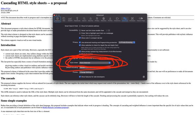 Safari settings panel, advanced tab, with a red scribble highlighting a style sheet option, with none selected by default.
